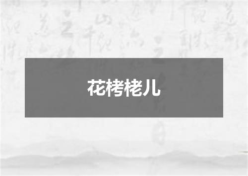 花栲栳儿