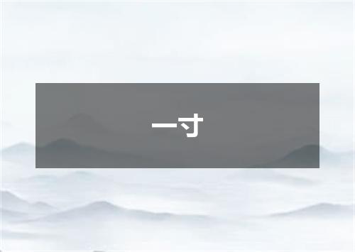 一寸