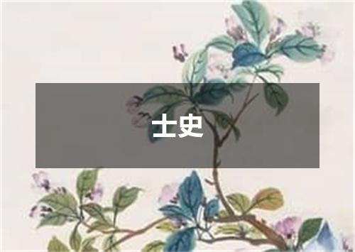 士史