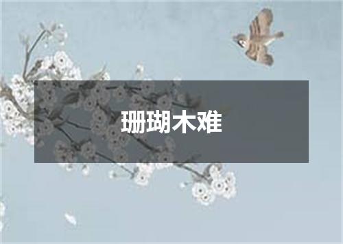 珊瑚木难