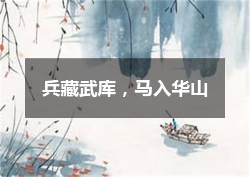 兵藏武库，马入华山