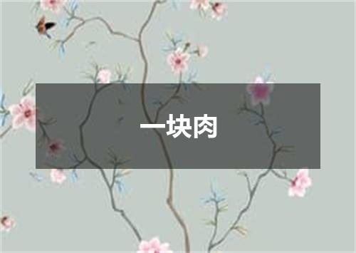 一块肉
