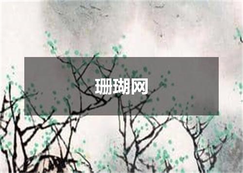 珊瑚网