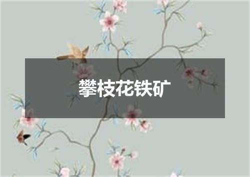 攀枝花铁矿