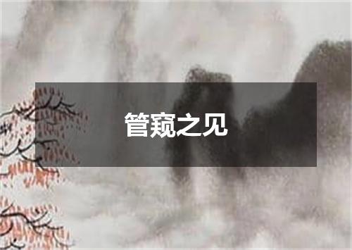 管窥之见