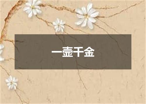 一壸千金