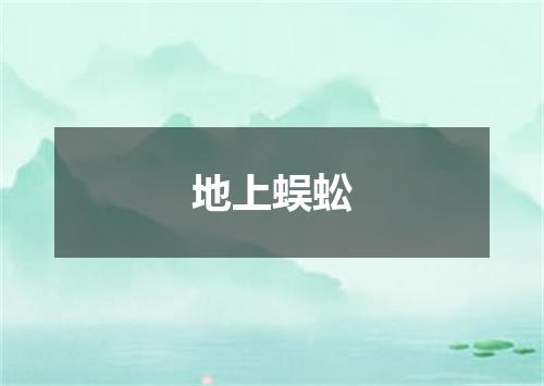 地上蜈蚣
