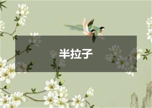 半拉子
