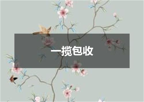 一揽包收
