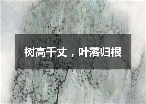 树高千丈，叶落归根