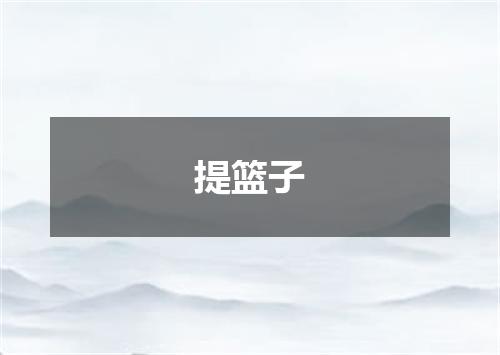 提篮子