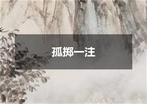 孤掷一注