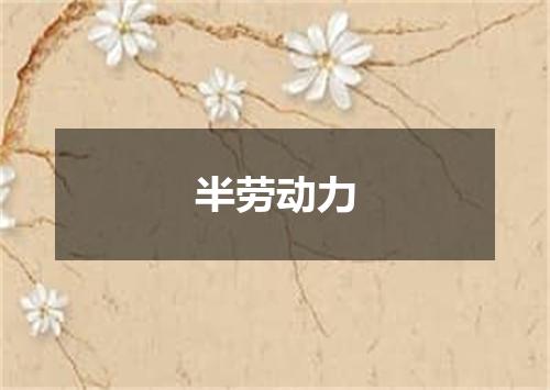 半劳动力