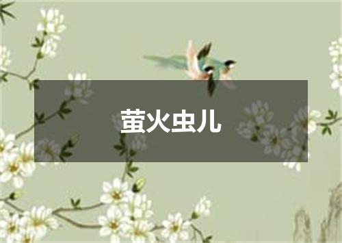 萤火虫儿