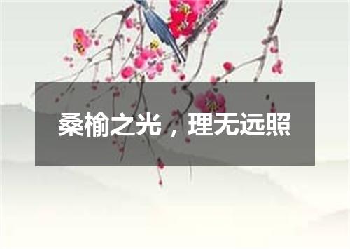 桑榆之光，理无远照