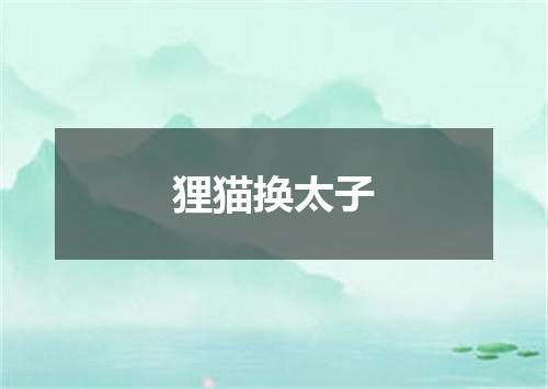 狸猫换太子