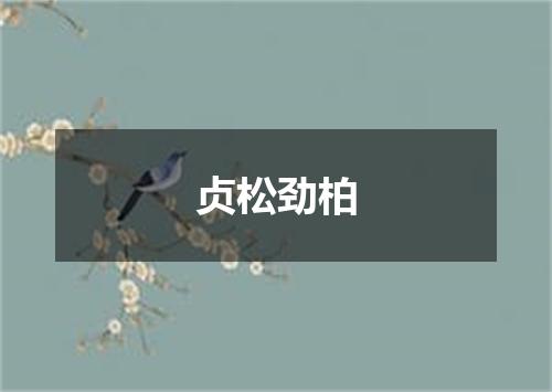 贞松劲柏
