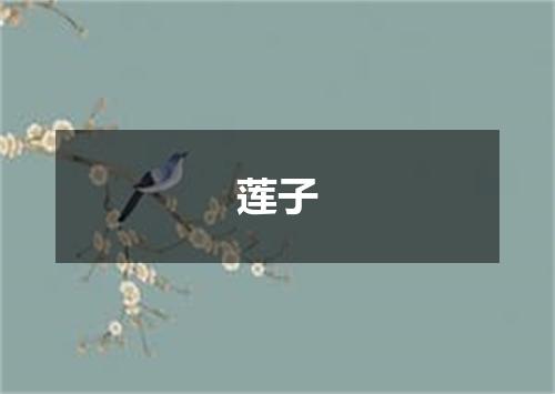 莲子