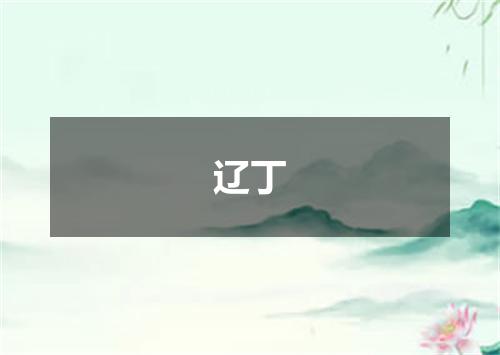 辽丁