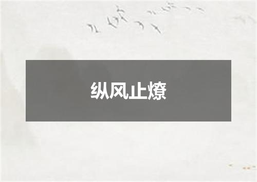 纵风止燎