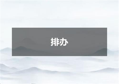 排办