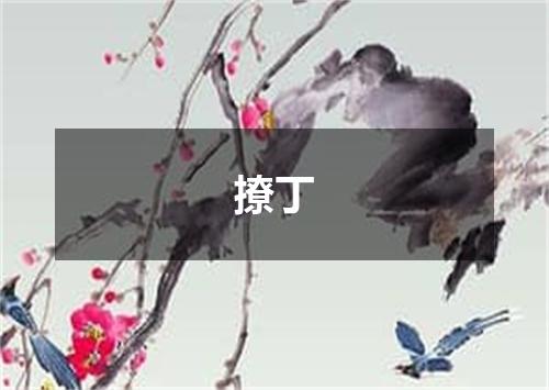 撩丁