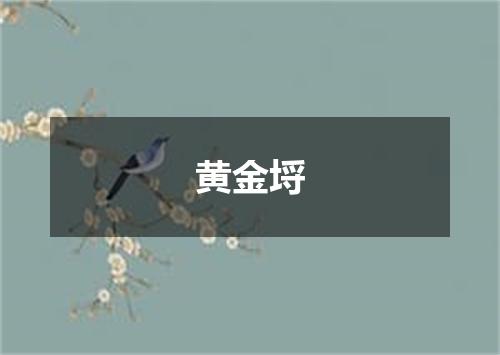 黄金埒
