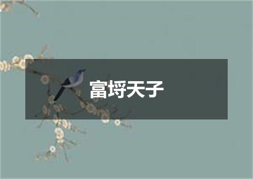 富埒天子