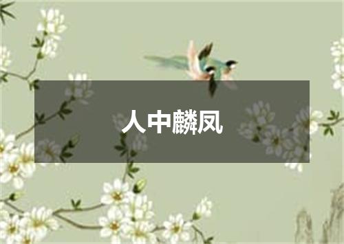 人中麟凤