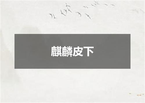 麒麟皮下