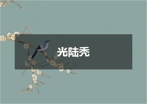 光陆秃