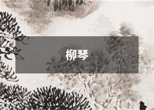 柳琴