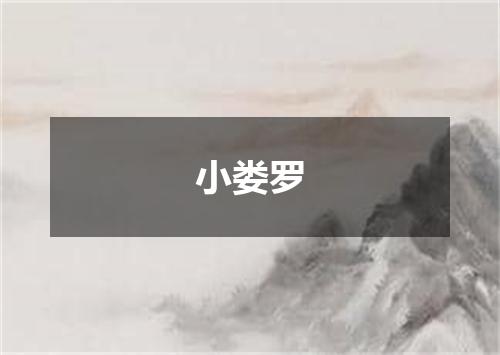 小娄罗