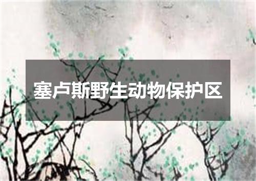 塞卢斯野生动物保护区