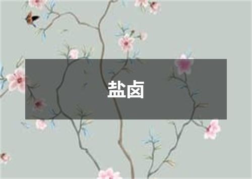 盐卤