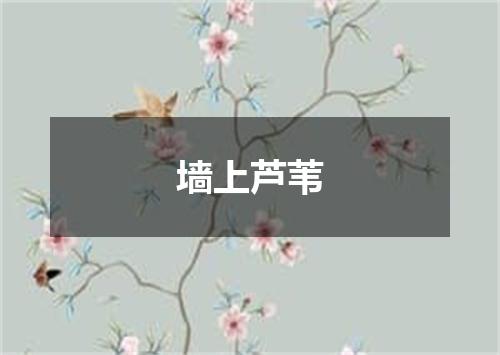 墙上芦苇