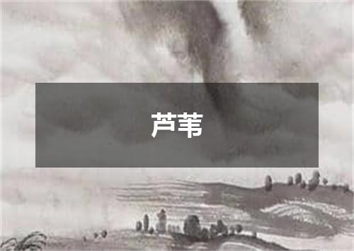 芦苇