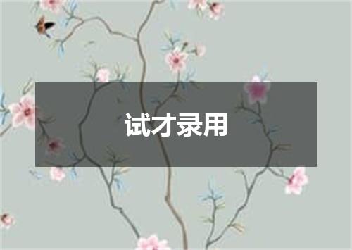 试才录用
