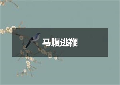 马腹逃鞭