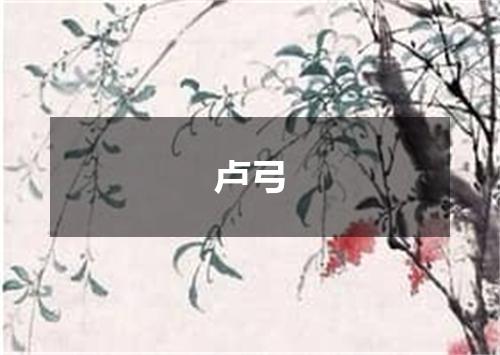 卢弓