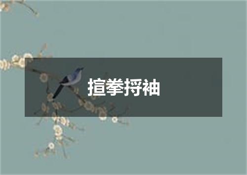 揎拳捋袖