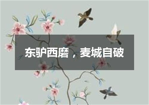 东驴西磨，麦城自破