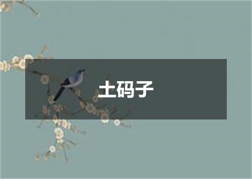 土码子