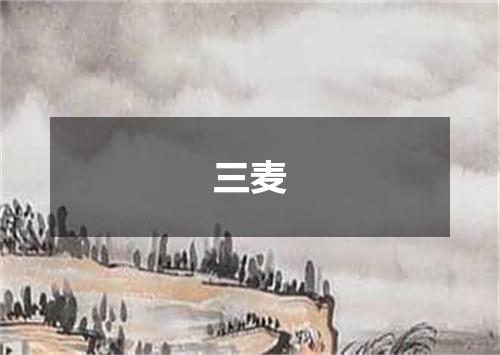 三麦