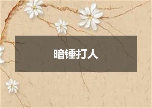 暗锤打人