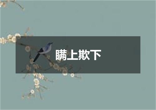瞒上欺下