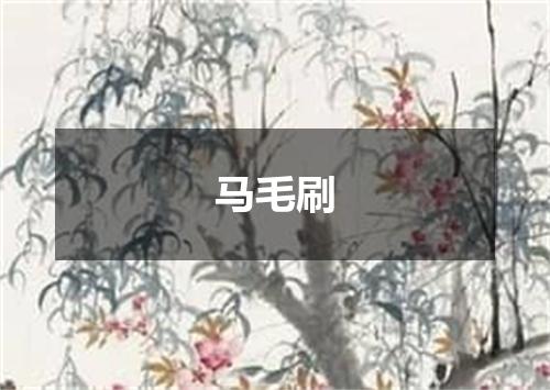 马毛刷