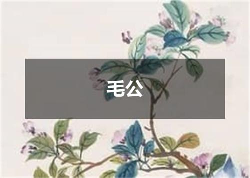 毛公