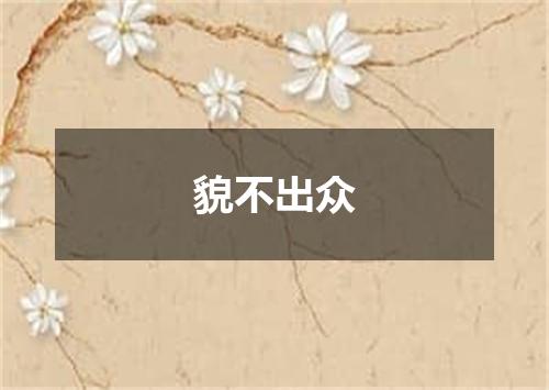 貌不出众