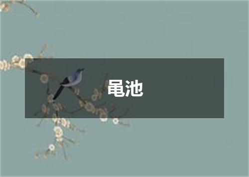 黾池